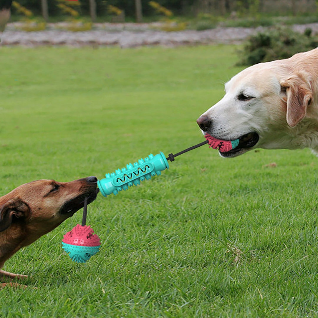 Pet Durable Chew Stick Teeth Cleaning Toy