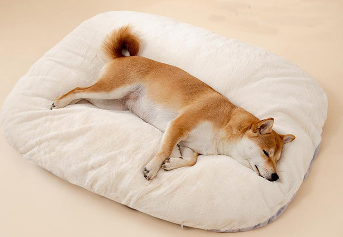 Oval Shape Washable Large Pet Cushion Bed For Crates