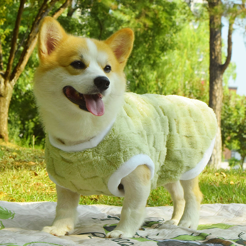 Warm Padded Fall Winter Anti Dirt Pet Vest