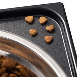 Elevated Neck Support Anti Tumble Pet Feeding Bowl