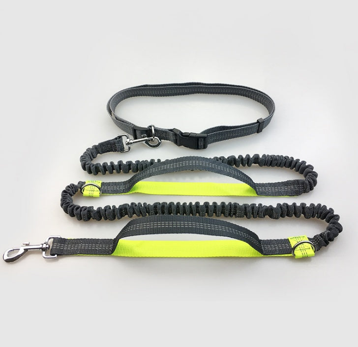 Reflective Dual Elastic Pet Running Leash With Traction Control
