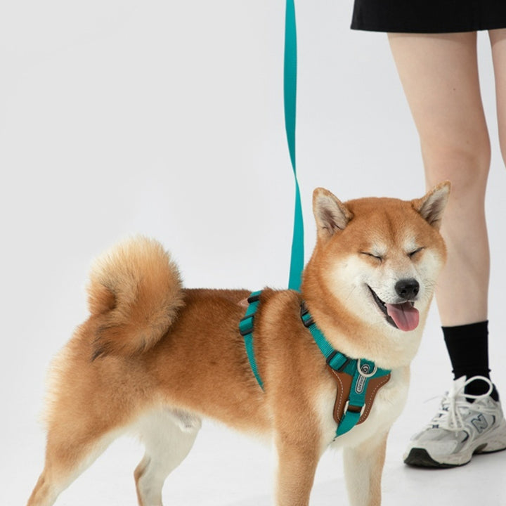 Multifunctional Anti Pull Pet Chest Harness Leash Set