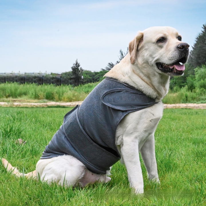 Pet Anxiety Relief Tank Top Soothing Comfort Clothing