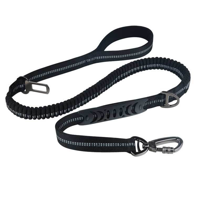 Retractable Fashion Pet Leash Rope Pull Lead