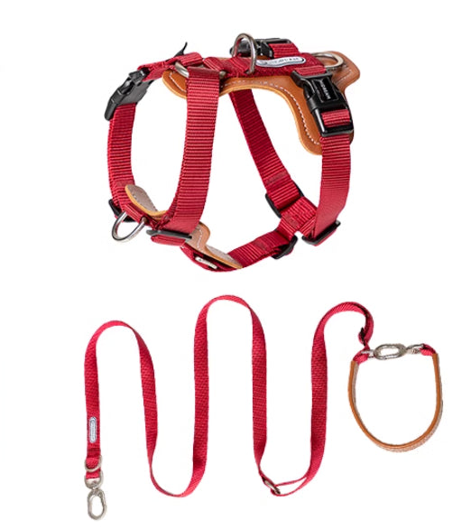 Multifunctional Anti Pull Pet Chest Harness Leash Set