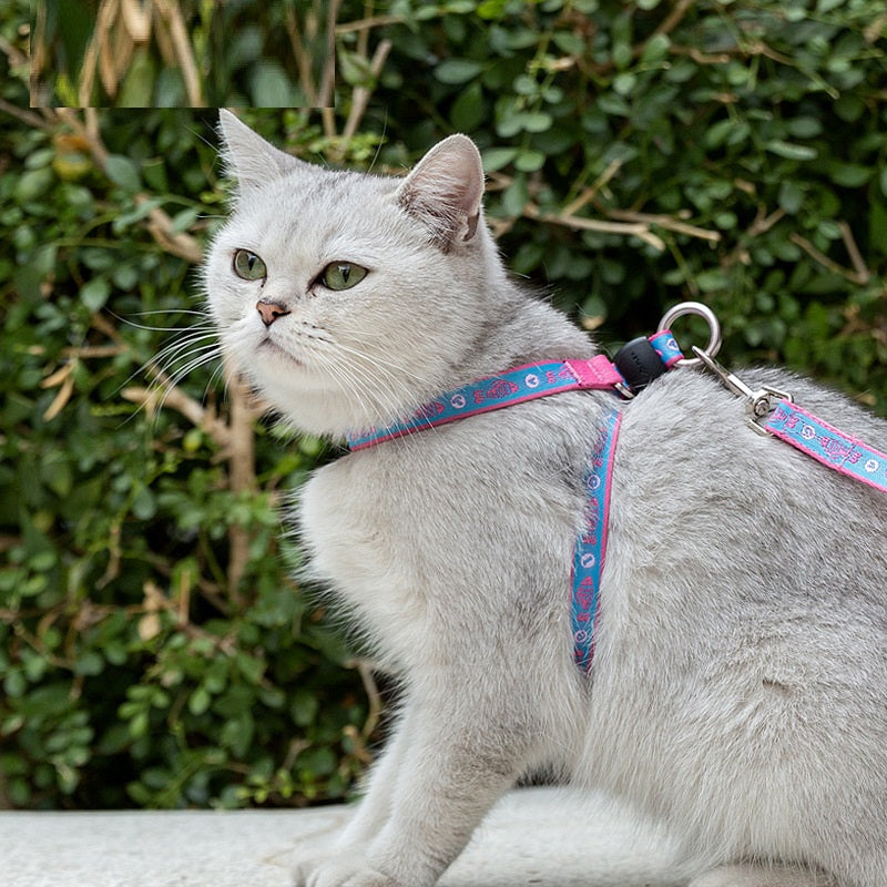 Pet Bell Chest Strap Vest With Leash Set