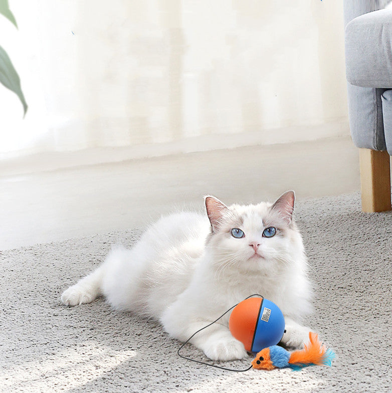 Pet Automatic Interactive Teething Ball Toy