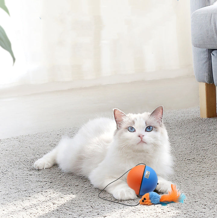 Pet Automatic Interactive Teething Ball Toy