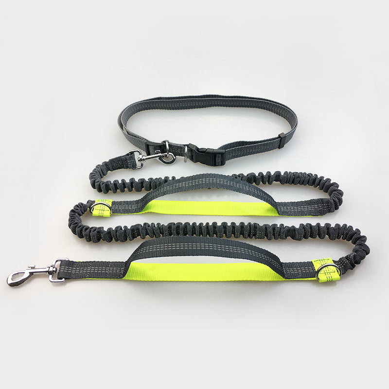 Reflective Dual Elastic Pet Running Leash With Traction Control