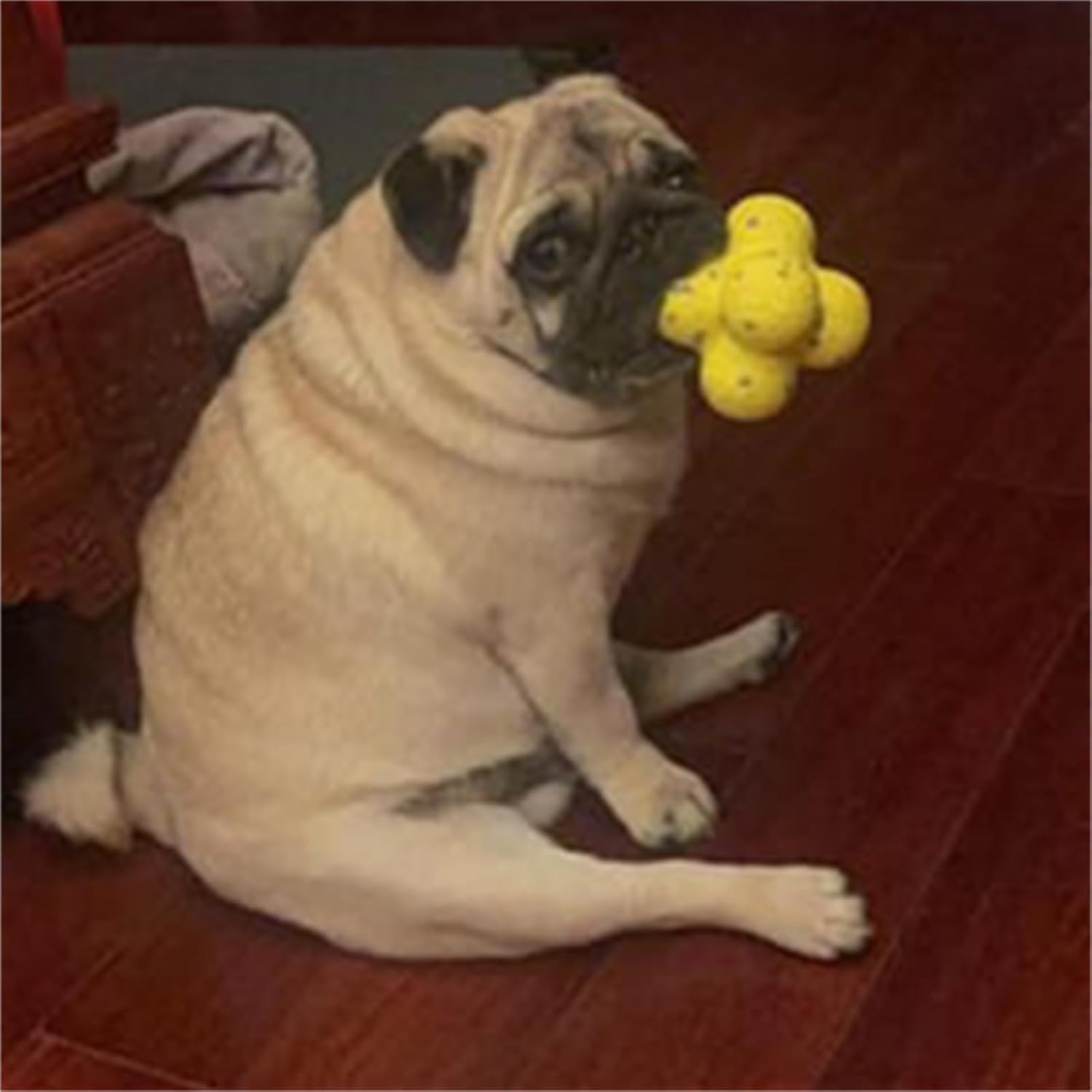 Pet Calming Emotional Support Ball Interactive Toy