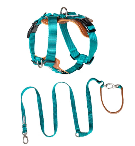 Multifunctional Anti Pull Pet Chest Harness Leash Set
