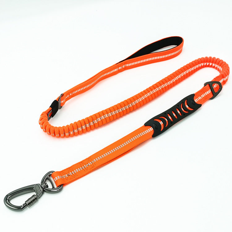 Retractable Fashion Pet Leash Rope Pull Lead