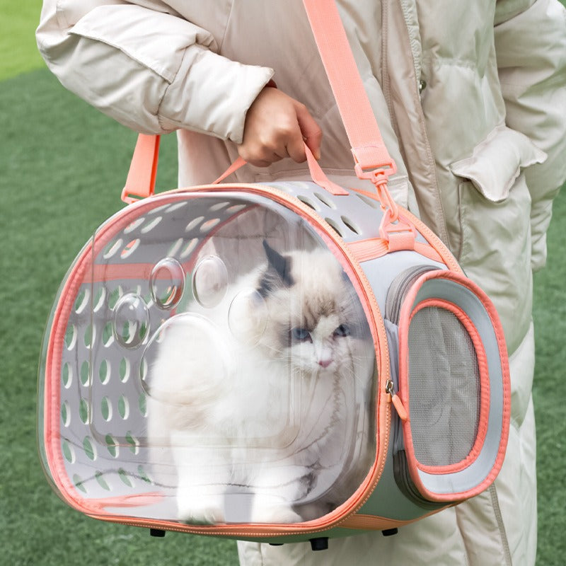 Transparent Space Capsule Style Pet Backpack Portable Carrier