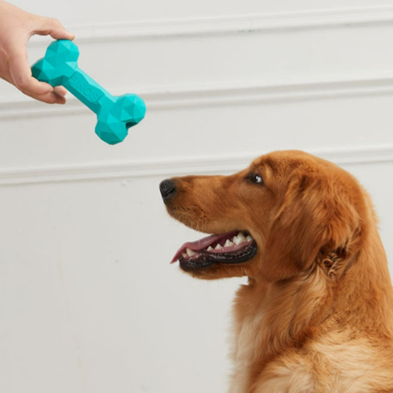 Pet Rubber Bone Chew Bite-Resistant Teeth Cleaning Toy