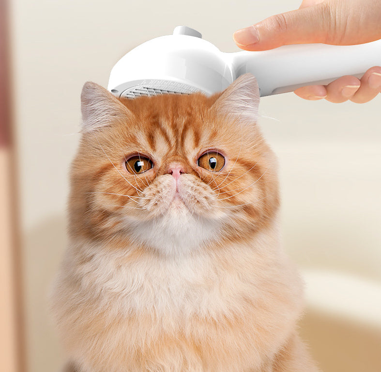Self Cleaning Pet Grooming Comb Mist Hair Removal Brush