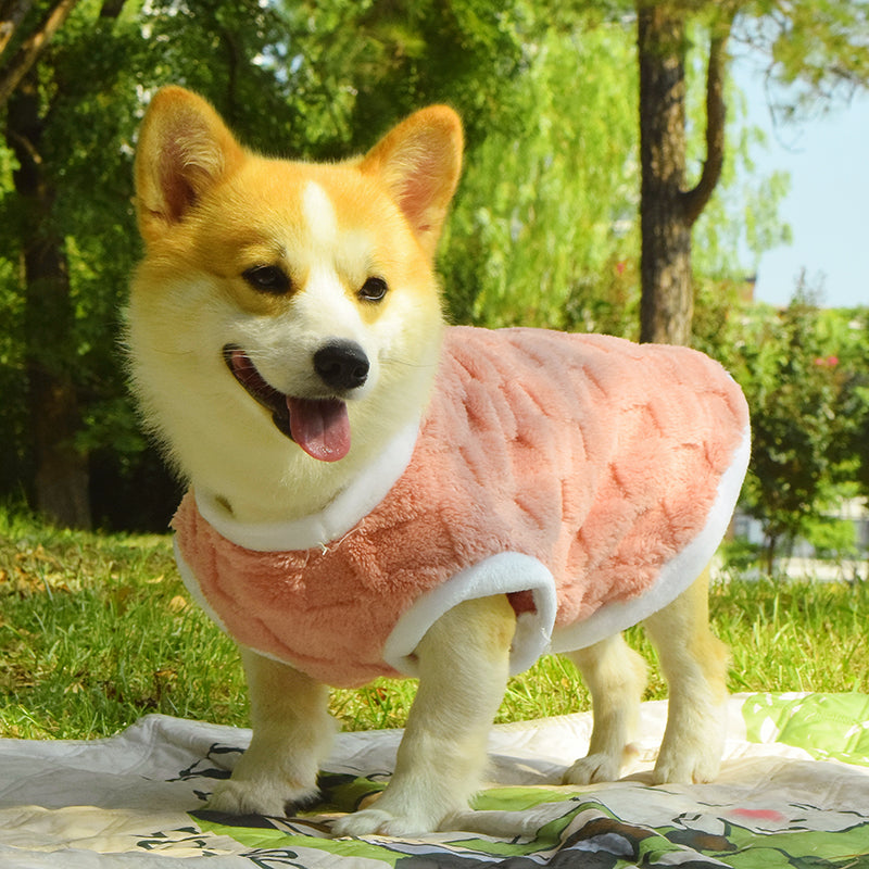 Warm Padded Fall Winter Anti Dirt Pet Vest