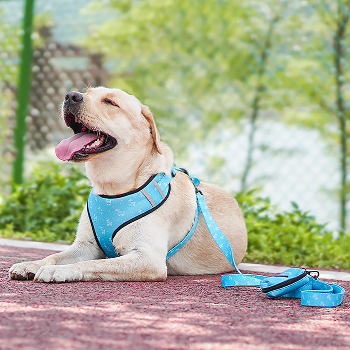 Bow Design Pet Harness And Leash Set Adjustable Comfortable