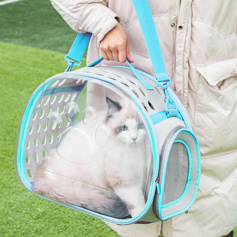Transparent Space Capsule Style Pet Backpack Portable Carrier