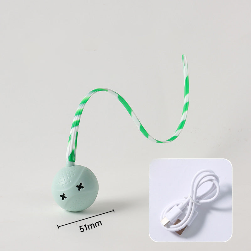 Pet Electric Motion Activated Interactive Ball Toy