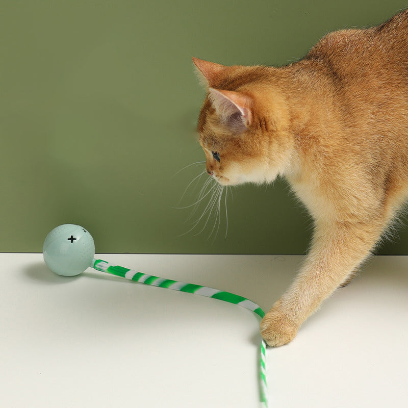 Pet Electric Motion Activated Interactive Ball Toy