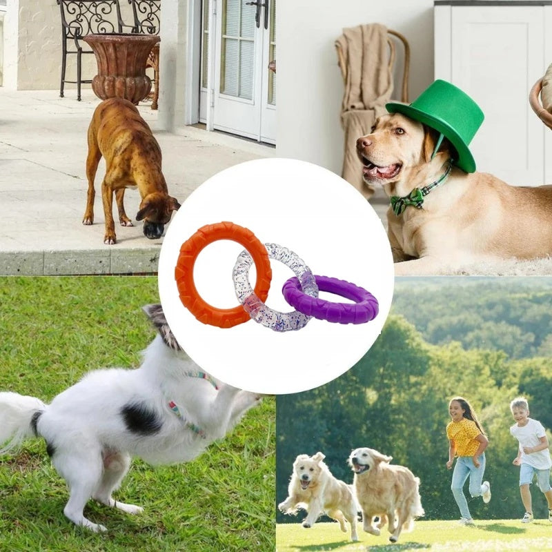 Pet Floating Flying Disc Interactive Training Chew Toy