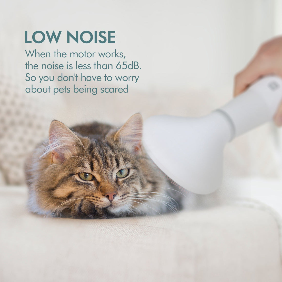 Pet Grooming Hair Dryer Slicker Brush Drying Tool