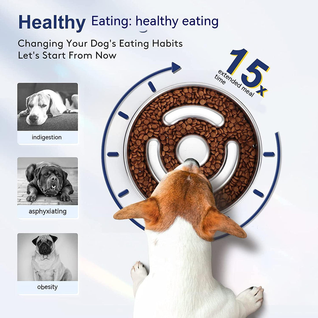 Pet Stainless Steel Slow Feeding Anti-Choke Bowl