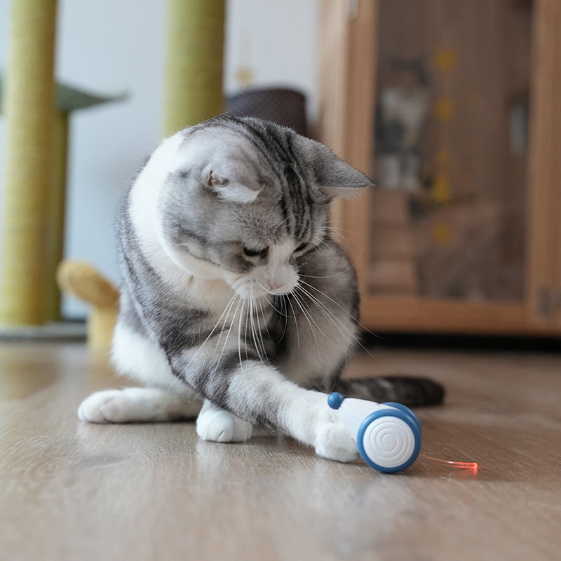 Pet Electric Automatic Mouse Interactive Boredom Toy