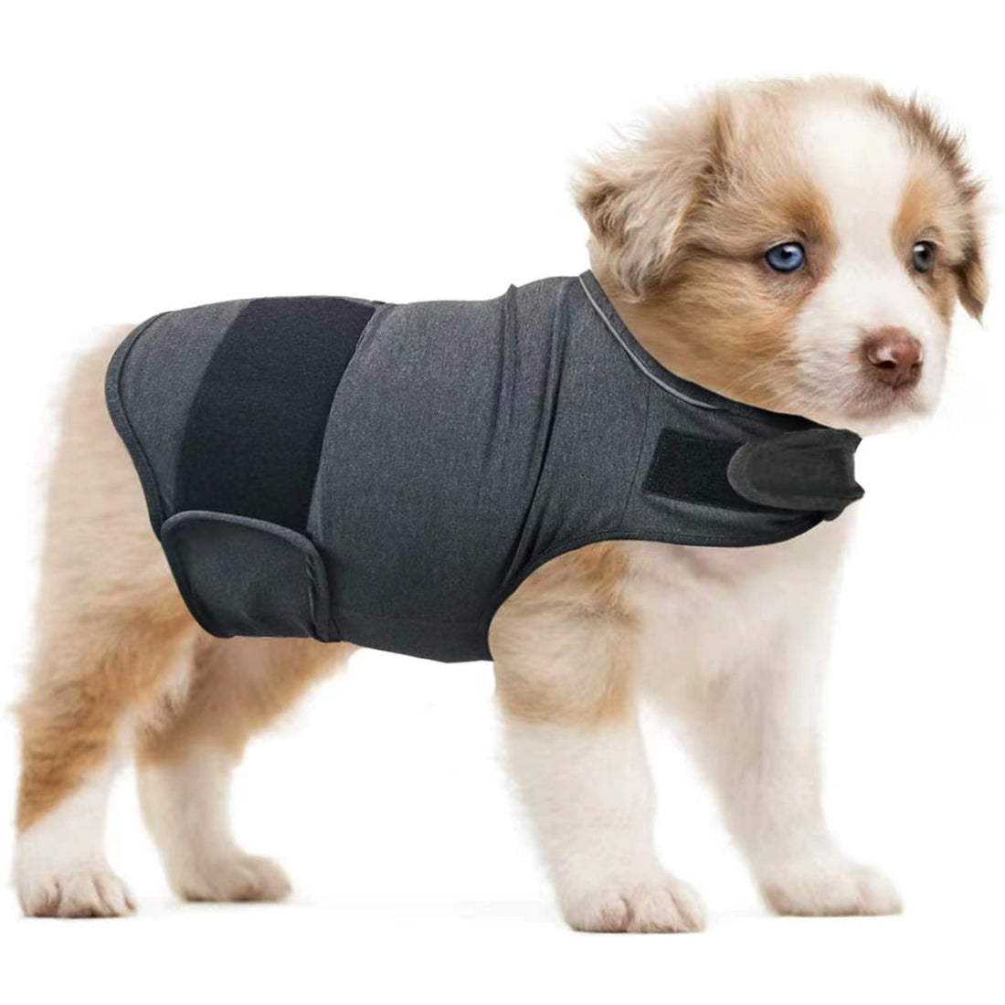 Pet Anxiety Relief Tank Top Soothing Comfort Clothing