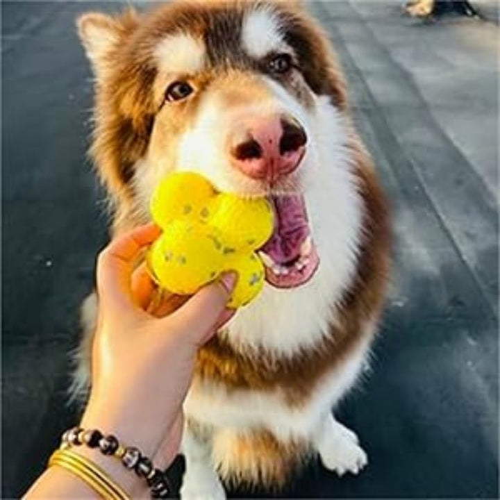 Pet Calming Emotional Support Ball Interactive Toy