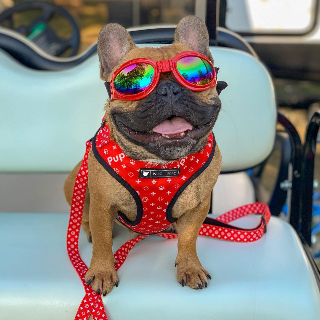Breathable Mesh Pet Chest Harness And Leash Comfortable Fit
