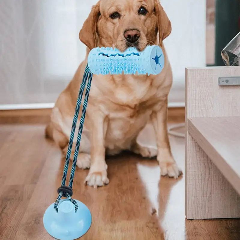 Pet Chew Ball Interactive Puzzle Food Dispenser Tug Toy