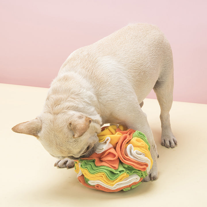 Pet Sniffing Ball Plush Interactive Toy