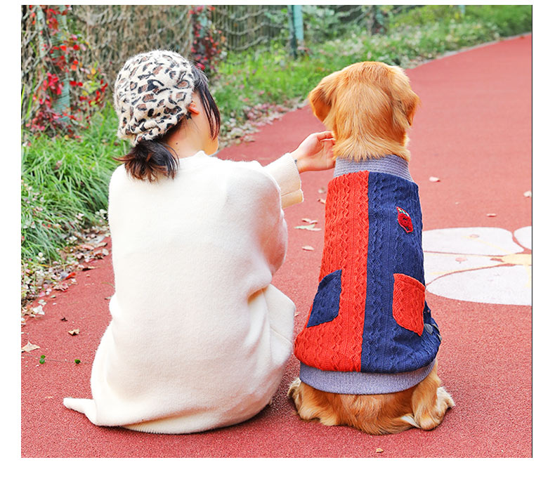 Pet Winter Thickened Sweater Warm Large Size Clothing