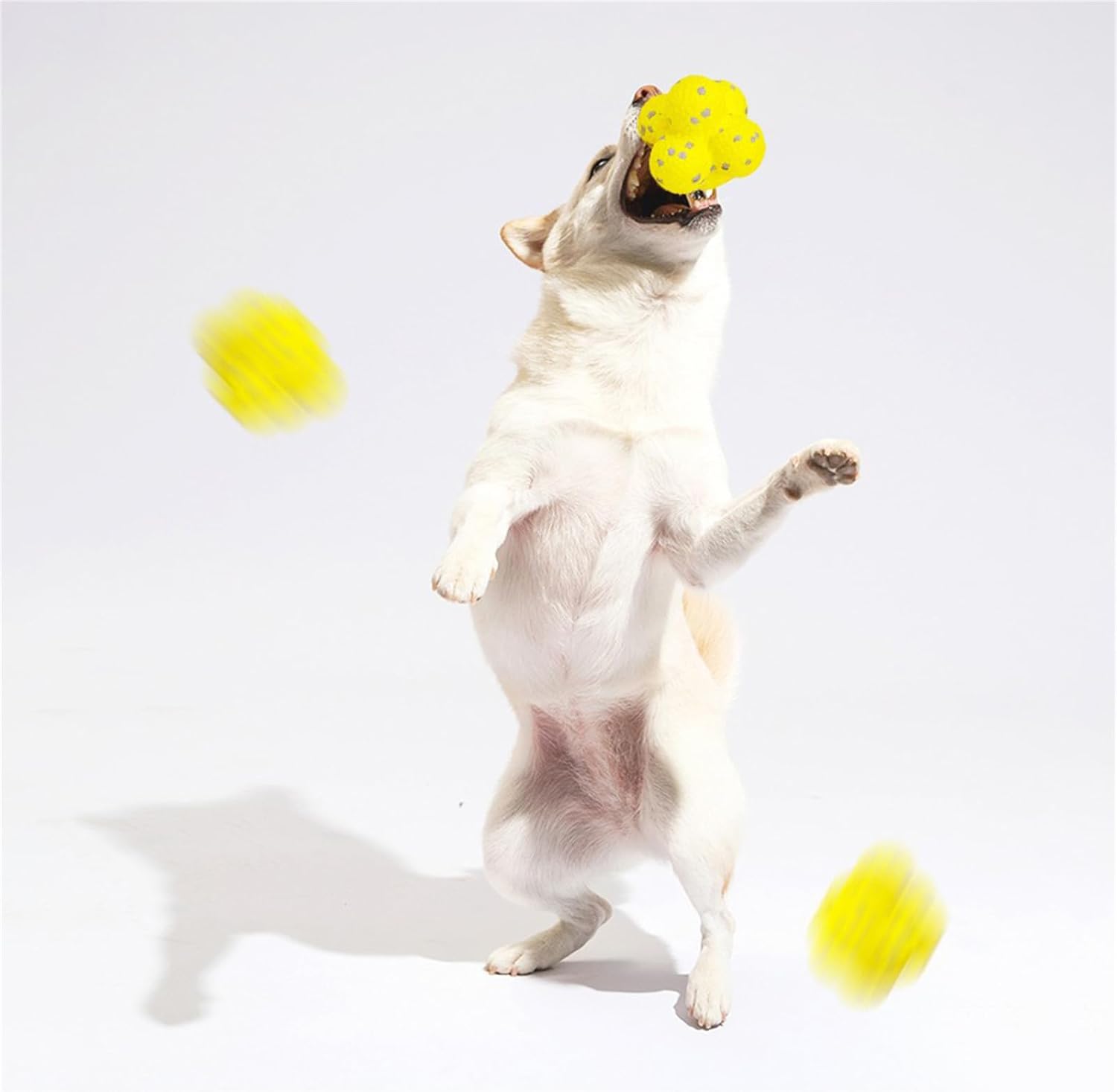 Pet Calming Emotional Support Ball Interactive Toy
