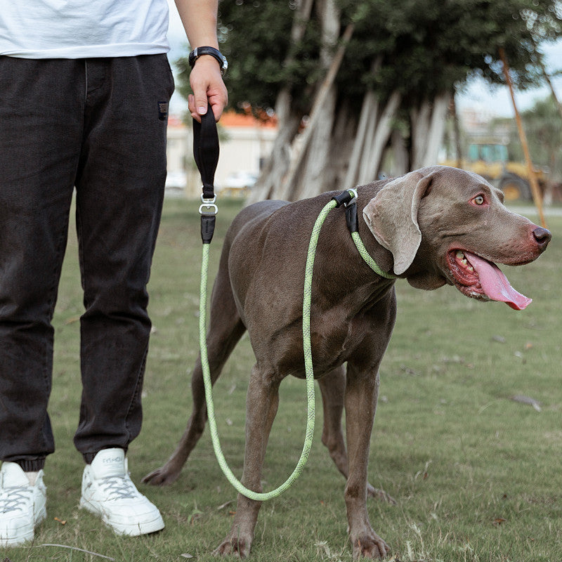 Fashion Simple Explosion Proof Pet Leash Durable Design