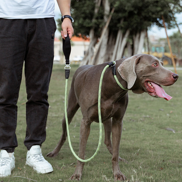 Fashion Simple Explosion Proof Pet Leash Durable Design