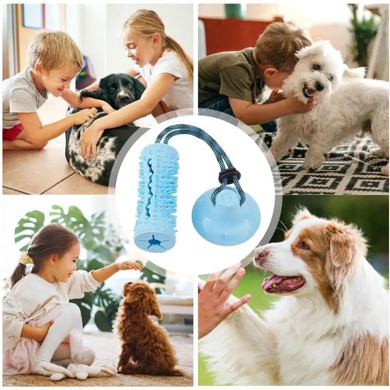 Pet Chew Ball Interactive Puzzle Food Dispenser Tug Toy
