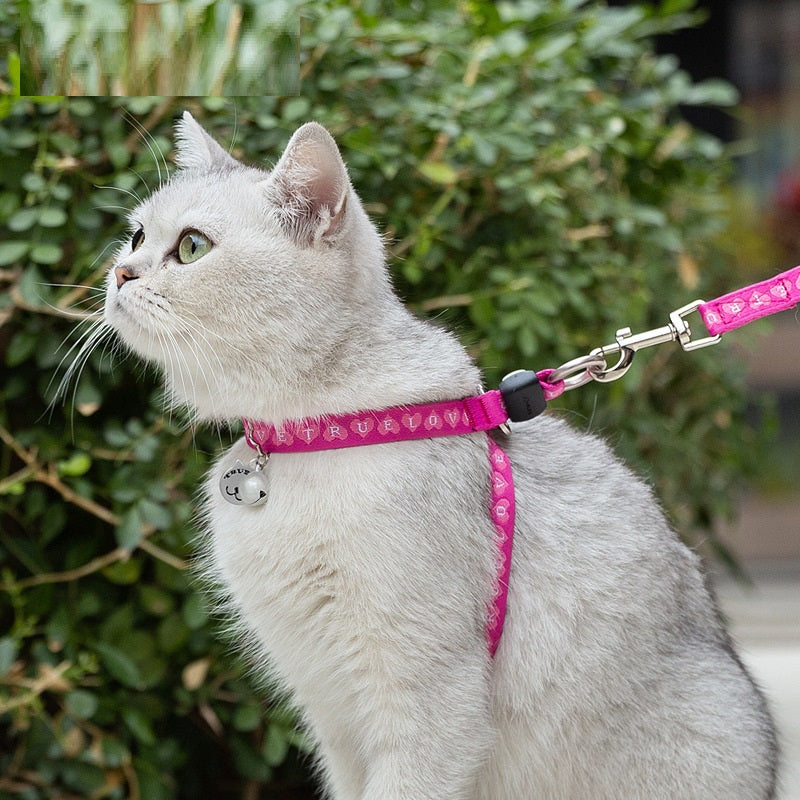 Pet Bell Chest Strap Vest With Leash Set