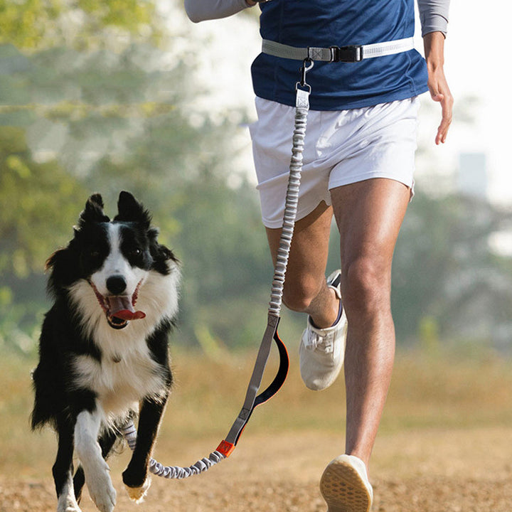 Outdoor Running Pet Leash Durable And Comfortable Control